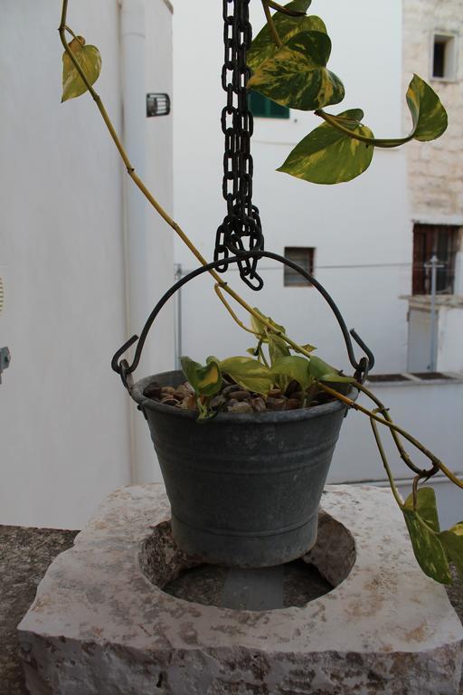 Terracielo Guest House Monopoli Dış mekan fotoğraf